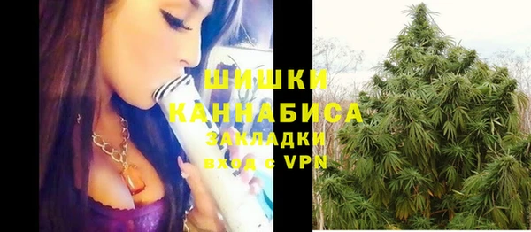 каннабис Беломорск