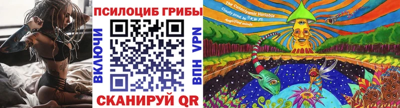 KRAKEN как войти  Нижний Тагил  Галлюциногенные грибы Psilocybe 